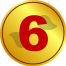 6.0