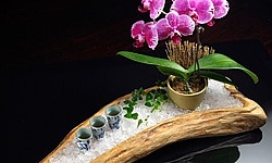 天醋香草(忘記拍擷取自官網)
由陳年糯米醋搭配薰衣草純蜂蜜精心調製而成
搭配每次都不同富有意境的創意盤飾
鈺善閣總是用心於每道菜餚! 800018508