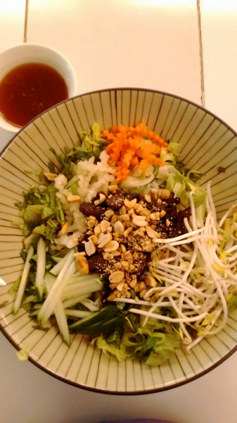 酸酸辣辣的道地越南手做素食涼麵(我在台北市第一次吃到) 800044005
